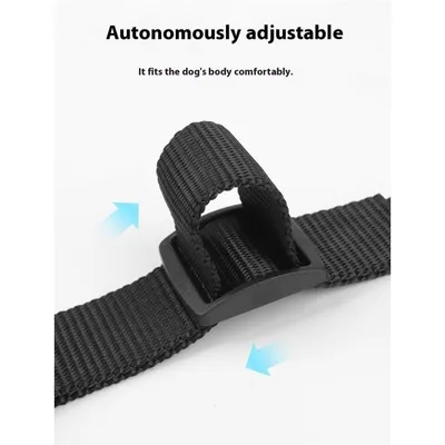 Zoomtopia Masque pour chien