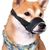 Zoomtopia Masque pour chien