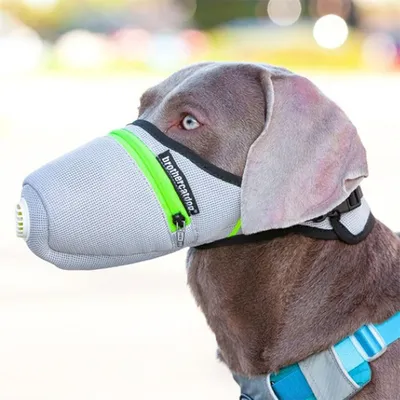 Rocky Masque pour chien