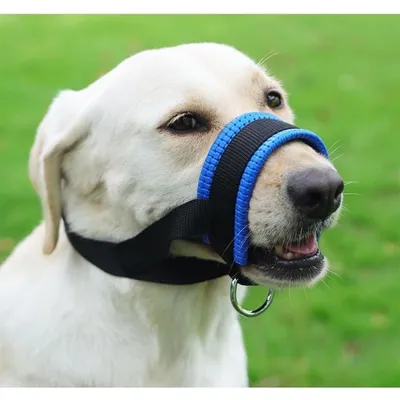 Zoomtopia Masque pour chien