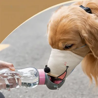 Rocky Muselière pour chien
