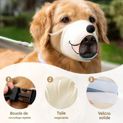 Rocky Muselière pour chien