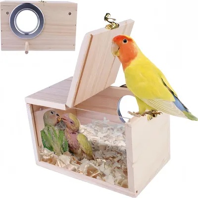 Rocky Nid d'oiseau transparent pour extérieur