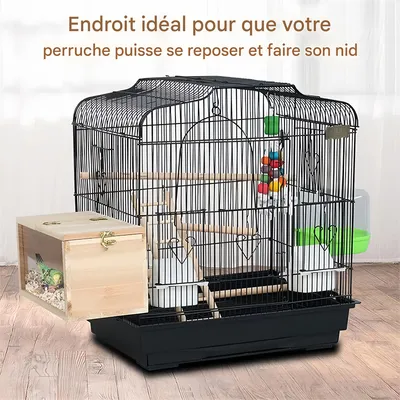 Rocky Nid d'oiseau transparent pour extérieur