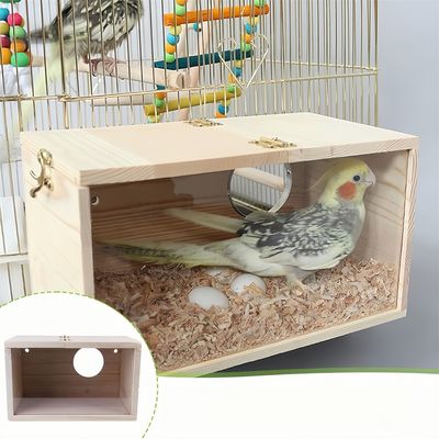Rocky Nid d'oiseau transparent pour extérieur