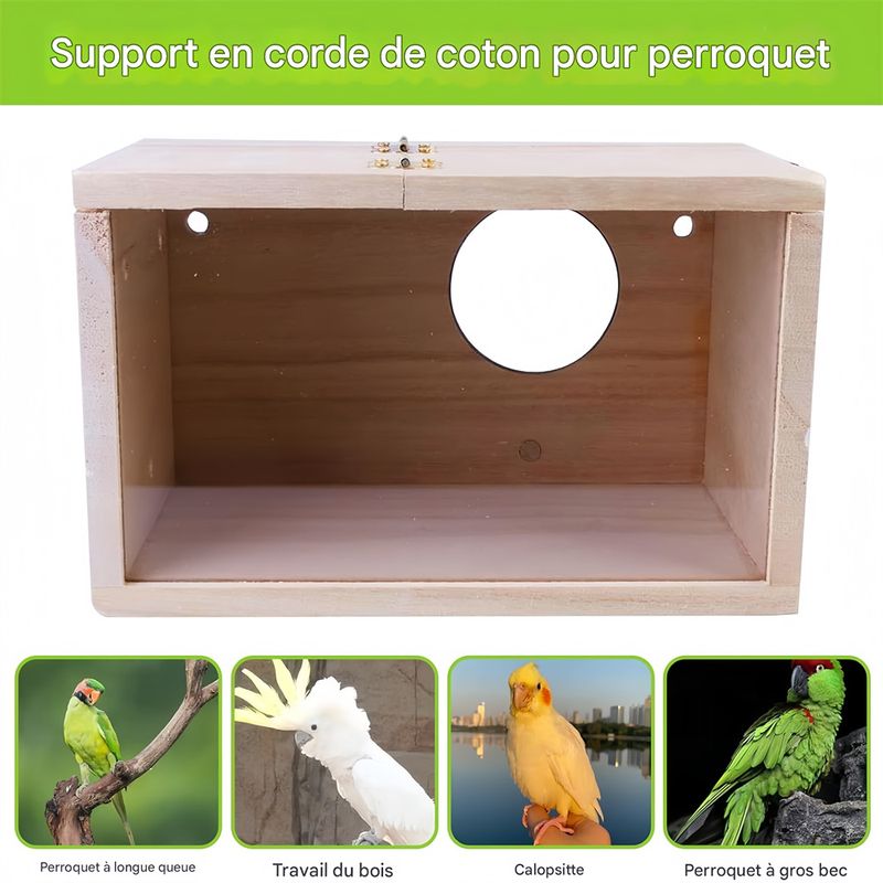 Rocky Nid d'oiseau transparent pour extérieur