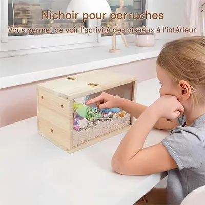 Rocky Nid d'oiseau transparent pour extérieur