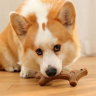 Rocky Jouet de combat pour chien