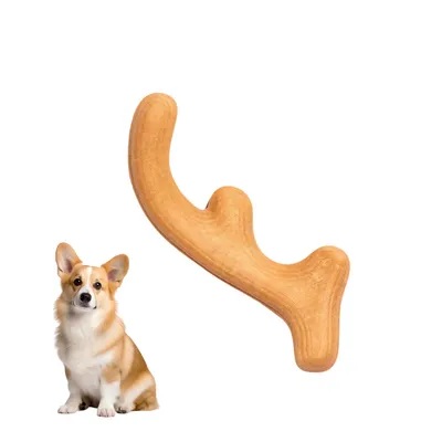 Zoomtopia Jouet à mâcher pour chien en nylon et bois