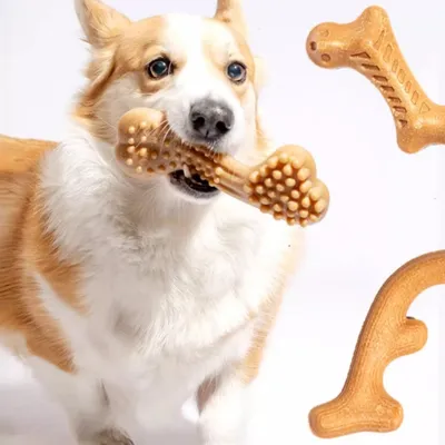 Zoomtopia Jouet à mâcher pour chien en nylon et bois