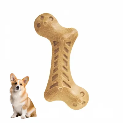 Zoomtopia Jouet à mâcher pour chien en nylon et bois