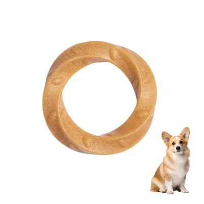 Zoomtopia Jouet à mâcher pour chien en nylon et bois