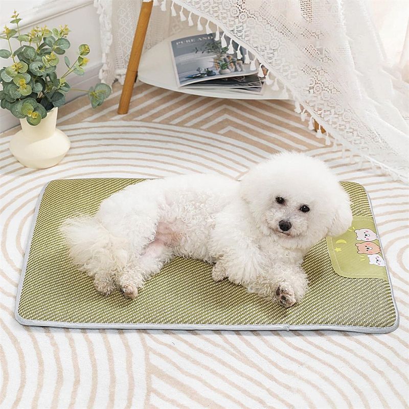 Rocky Tapis de couchage pour animaux de compagnie