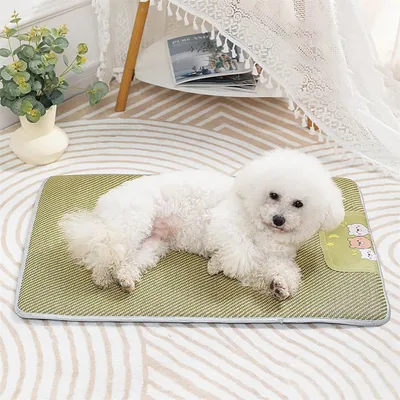 Rocky Tapis de couchage pour animaux de compagnie Rocky Tapis de couchage pour animaux de compagnie