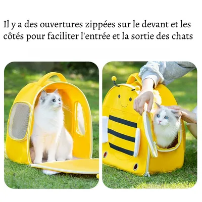 Rocky Sac à dos pour chat