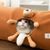 Rocky Tunnel pour animaux de compagnie