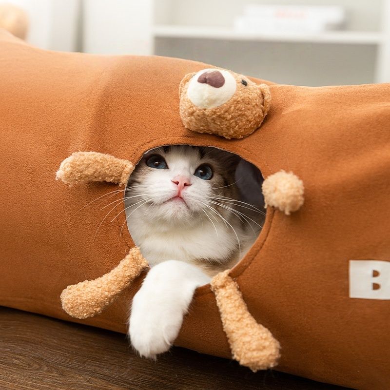 Rocky Tunnel pour animaux de compagnie