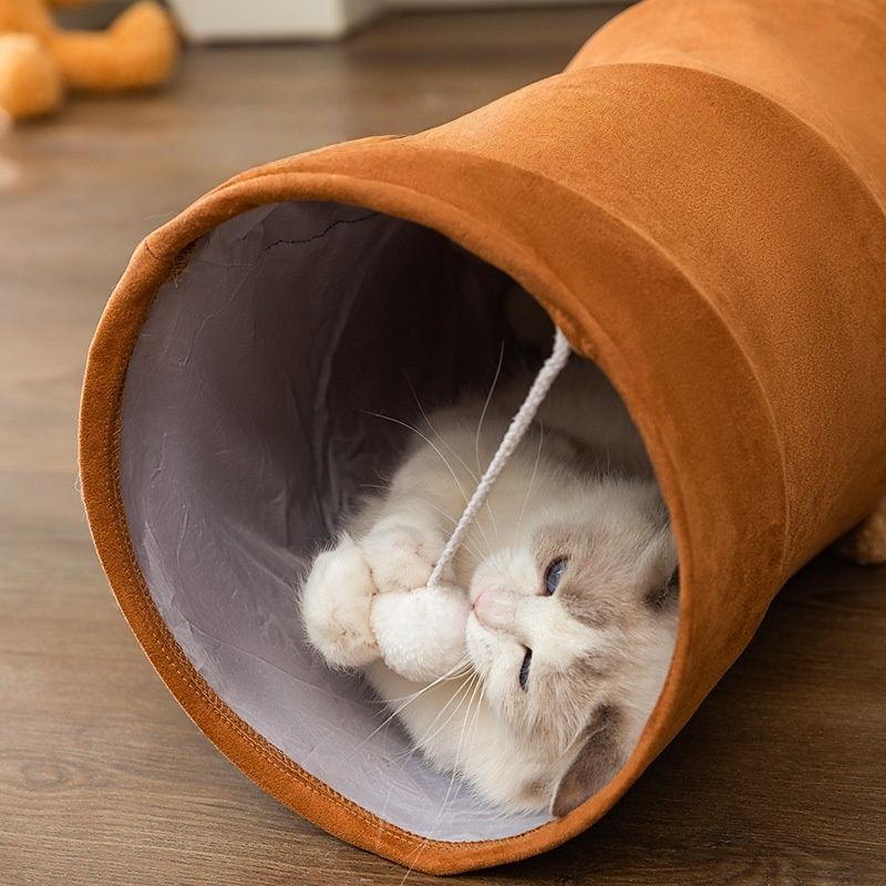 Rocky Tunnel pour animaux de compagnie