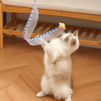 Zoomtopia Tunnel d'intérieur pliable en forme de S pour petits animaux