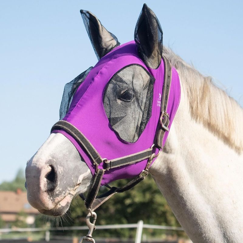 Zoomtopia Masque Équiprotection Premium