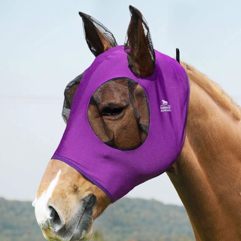 Zoomtopia Masque Équiprotection Premium