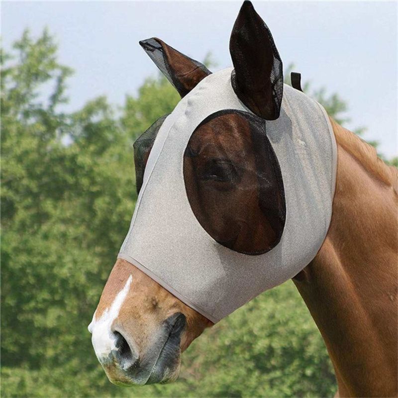 Zoomtopia Masque Équiprotection Premium