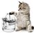 Rocky 8 Filtre pour fontaine à eau pour chien