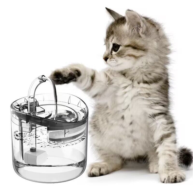 Rocky 8 Filtre pour fontaine à eau pour chien