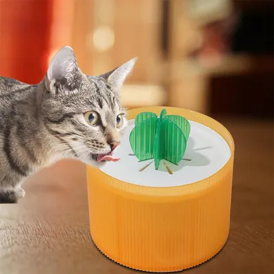 Rocky Distributeur d'eau pour chat