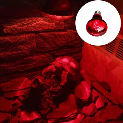 Rocky Lampe de chauffage infrarouge pour reptiles