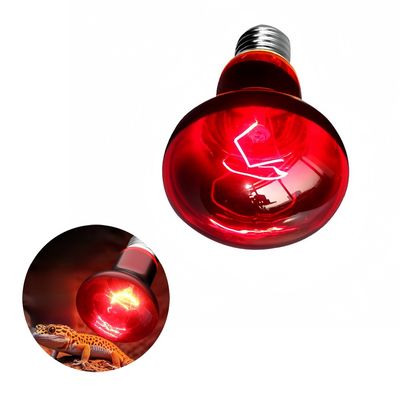 Rocky Lampe de chauffage infrarouge pour reptiles