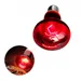 Rocky Lampe de chauffage infrarouge pour reptiles