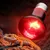 Rocky Lampe de chauffage infrarouge pour reptiles