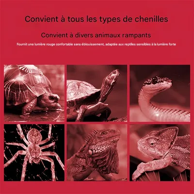 Rocky Lampe de chauffage infrarouge pour reptiles