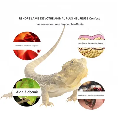 Rocky Lampe de chauffage infrarouge pour reptiles