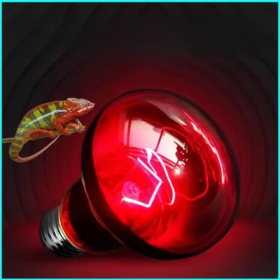 Rocky Lampe de chauffage infrarouge pour reptiles