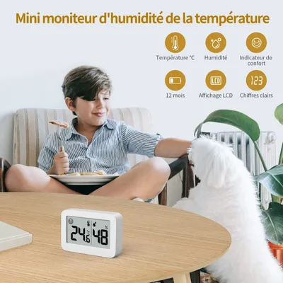 ZooVenture Mini hygromètre - thermomètre pour reptiles ZooVenture Mini hygromètre - thermomètre pour reptiles