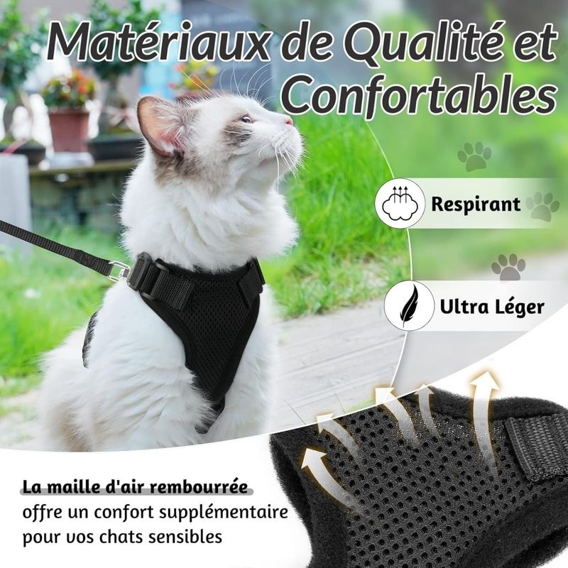 ZooVenture Harnais réglable pour chats et petits chiens