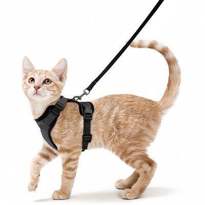 ZooVenture Harnais réglable pour chats et petits chiens