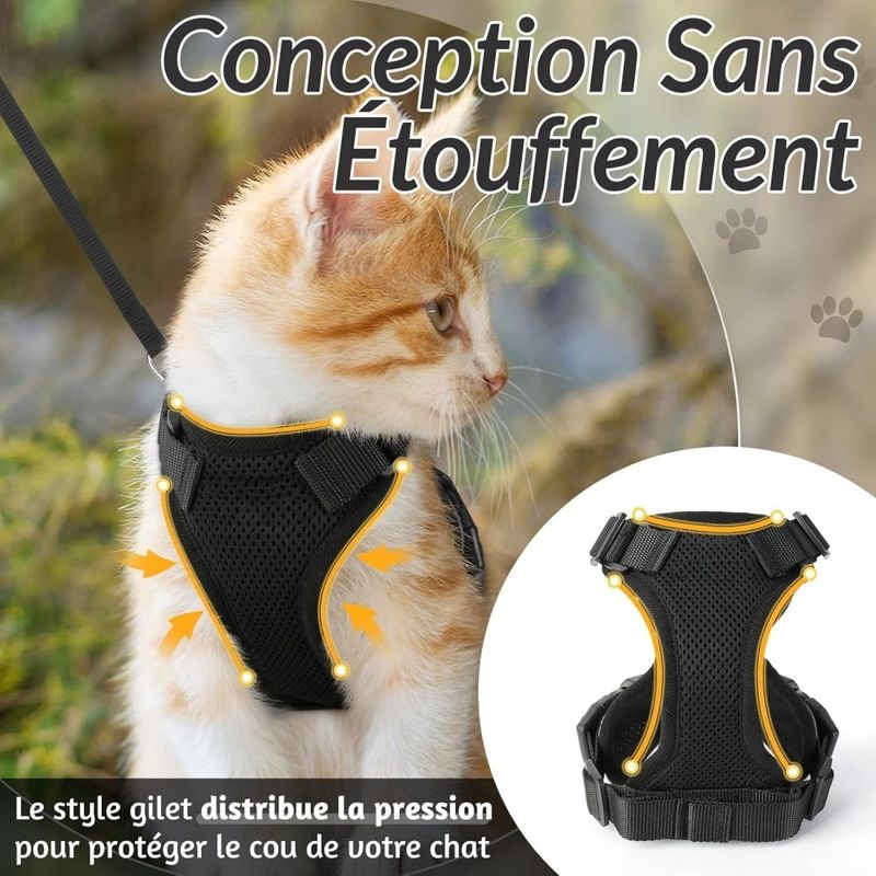 ZooVenture Harnais réglable pour chats et petits chiens