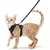 ZooVenture Harnais réglable pour chats et petits chiens ZooVenture Harnais réglable pour chats et petits chiens