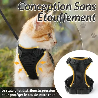 ZooVenture Harnais réglable pour chats et petits chiens