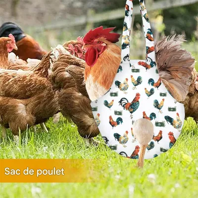 Rocky Sac pour volaille