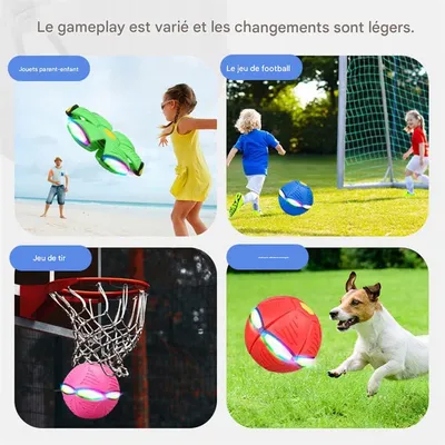 Rocky Disque interactif pour chien