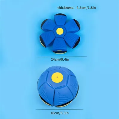 Rocky Disque interactif pour chien