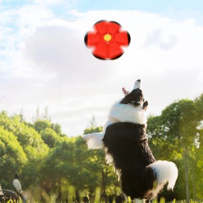 Rocky Disque interactif pour chien