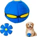 Rocky Disque interactif pour chien