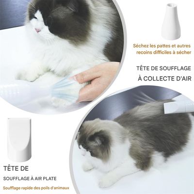 Rocky Séche - cheveux pour animaux de compagnie