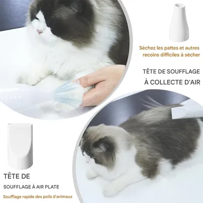 Rocky Séche - cheveux pour animaux de compagnie