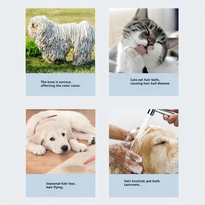 Zoomtopia Radeau épilleur Pro 2-en-1